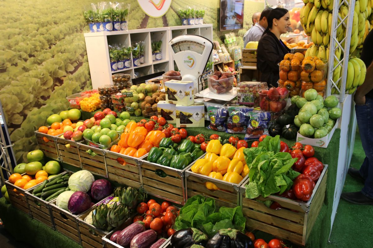 World Vegan Day is Today, November 1